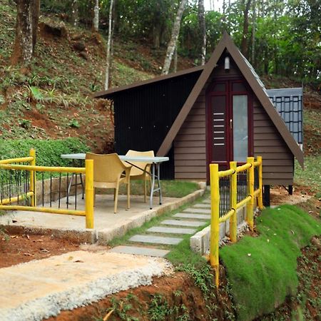 Garden Of Eden-Thottam Munnar-Hiking And Camping Anachal Esterno foto