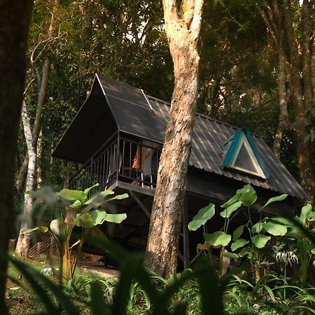 Garden Of Eden-Thottam Munnar-Hiking And Camping Anachal Esterno foto