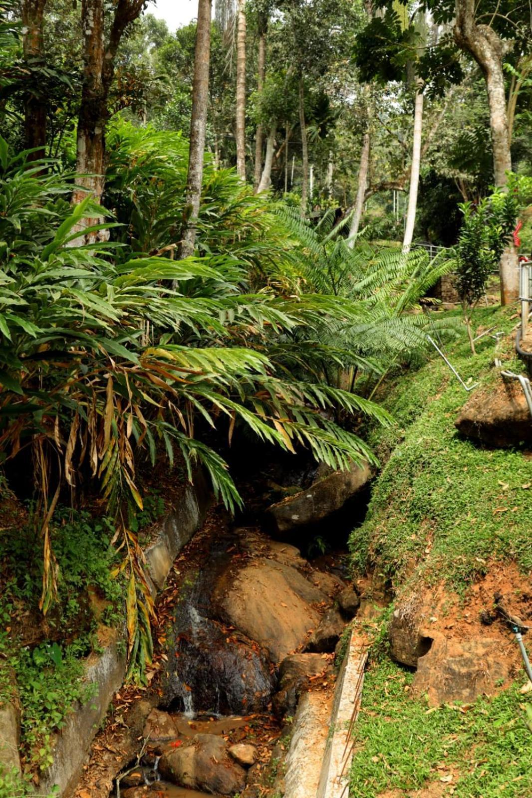 Garden Of Eden-Thottam Munnar-Hiking And Camping Anachal Esterno foto