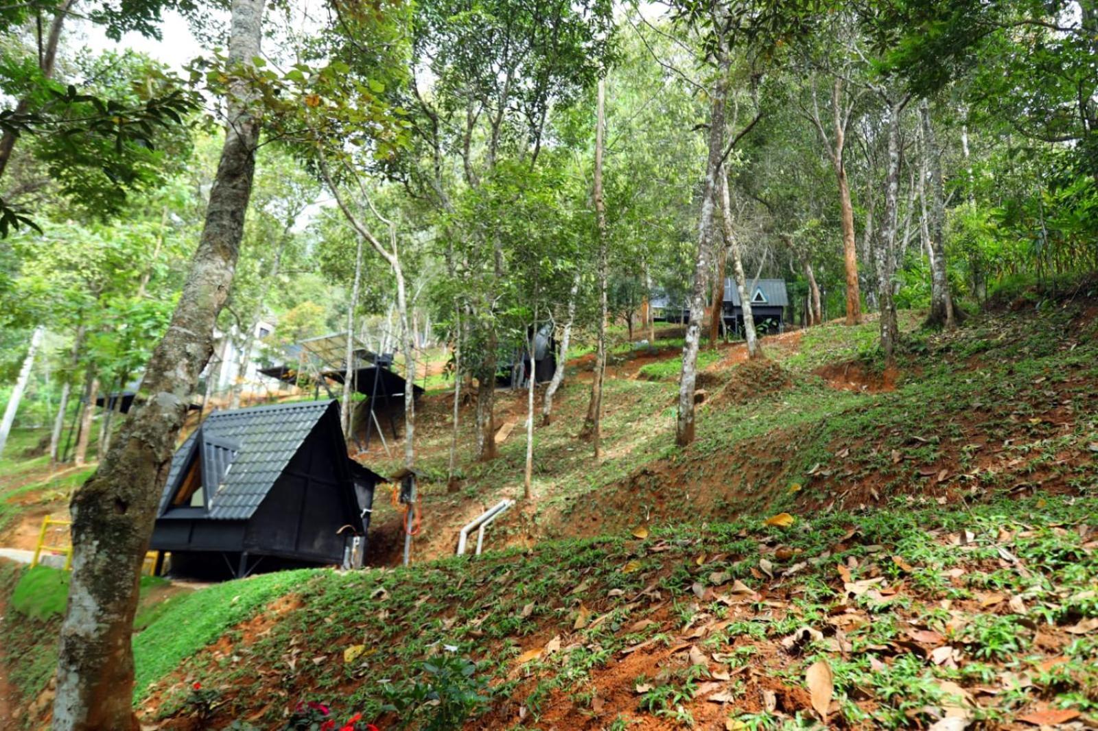 Garden Of Eden-Thottam Munnar-Hiking And Camping Anachal Esterno foto