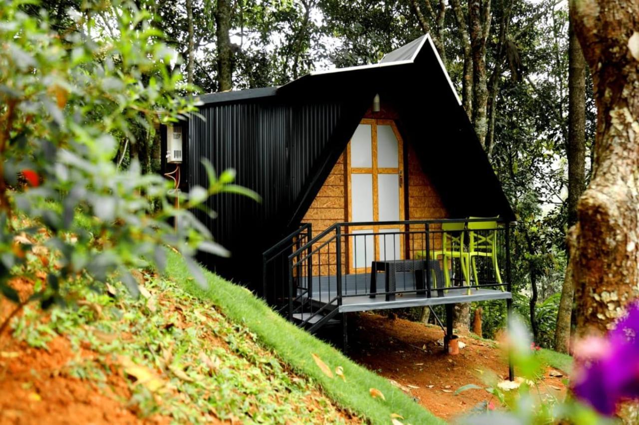 Garden Of Eden-Thottam Munnar-Hiking And Camping Anachal Esterno foto