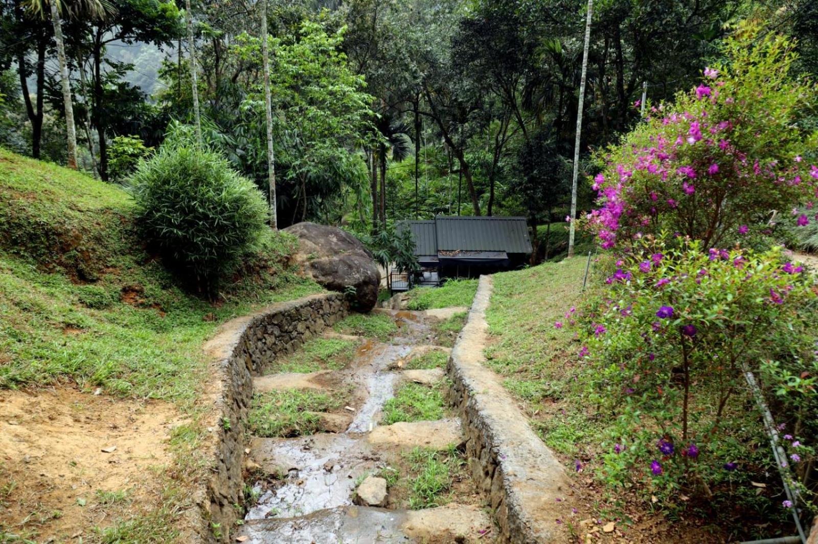 Garden Of Eden-Thottam Munnar-Hiking And Camping Anachal Esterno foto