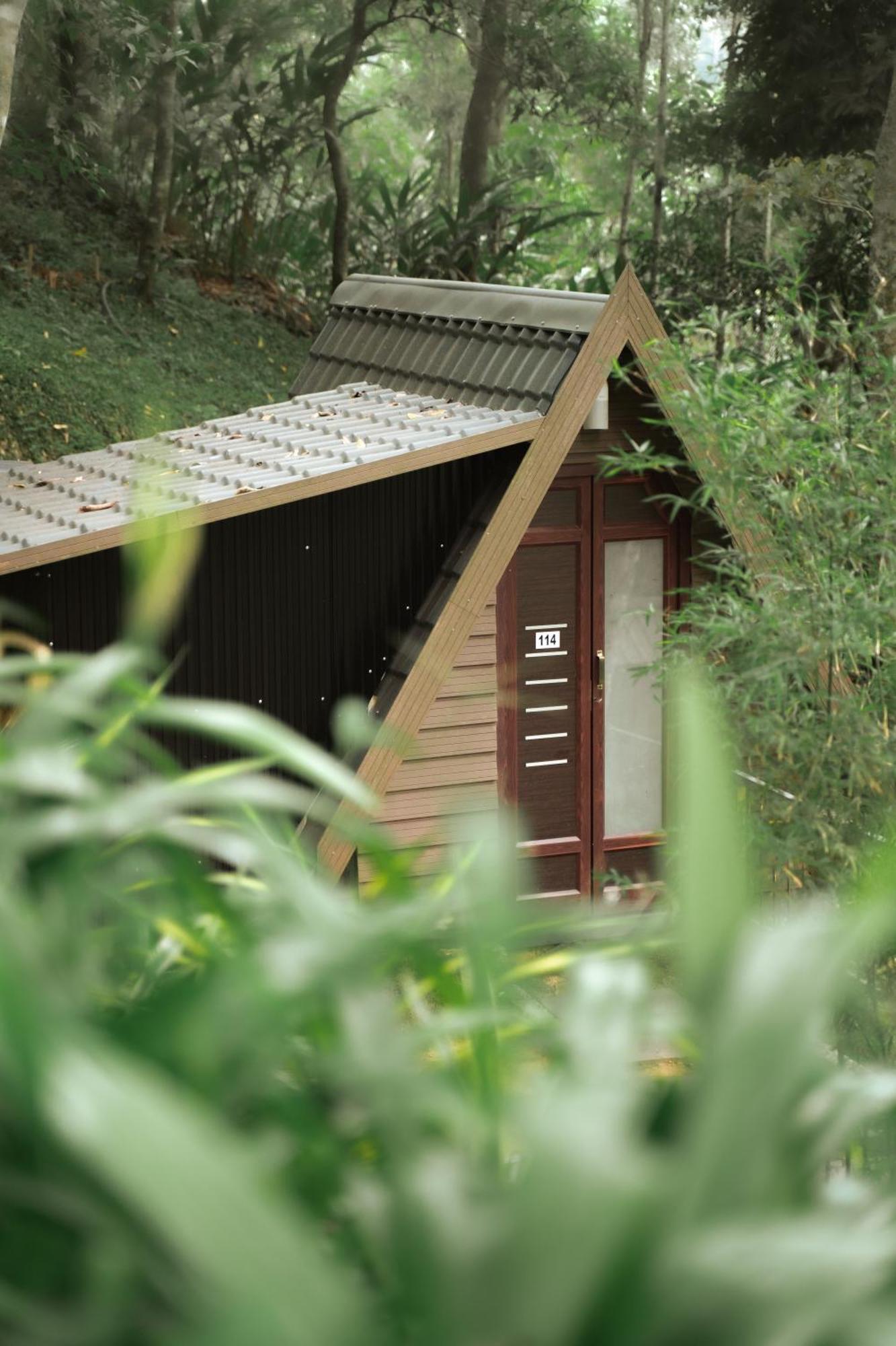 Garden Of Eden-Thottam Munnar-Hiking And Camping Anachal Esterno foto