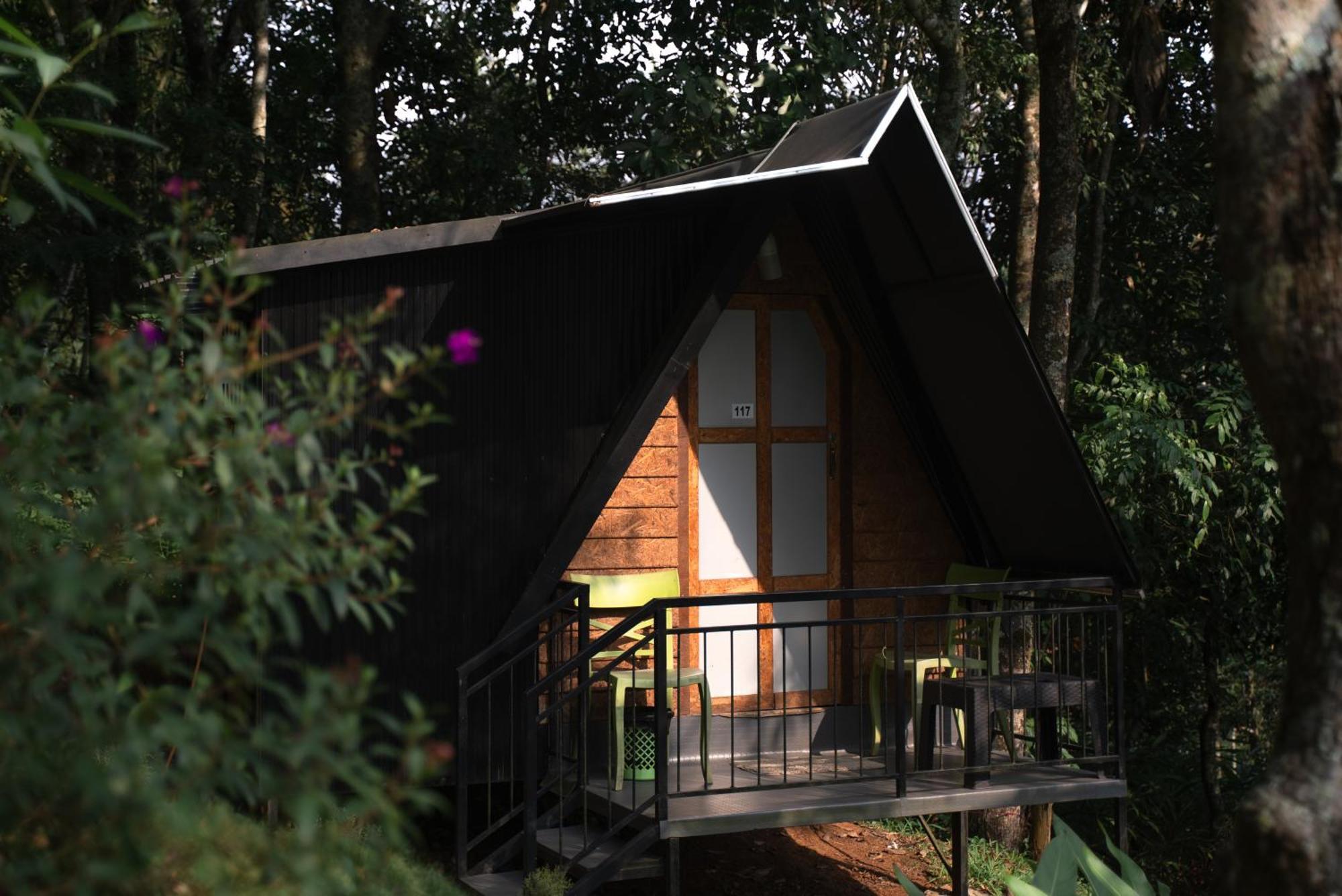Garden Of Eden-Thottam Munnar-Hiking And Camping Anachal Esterno foto