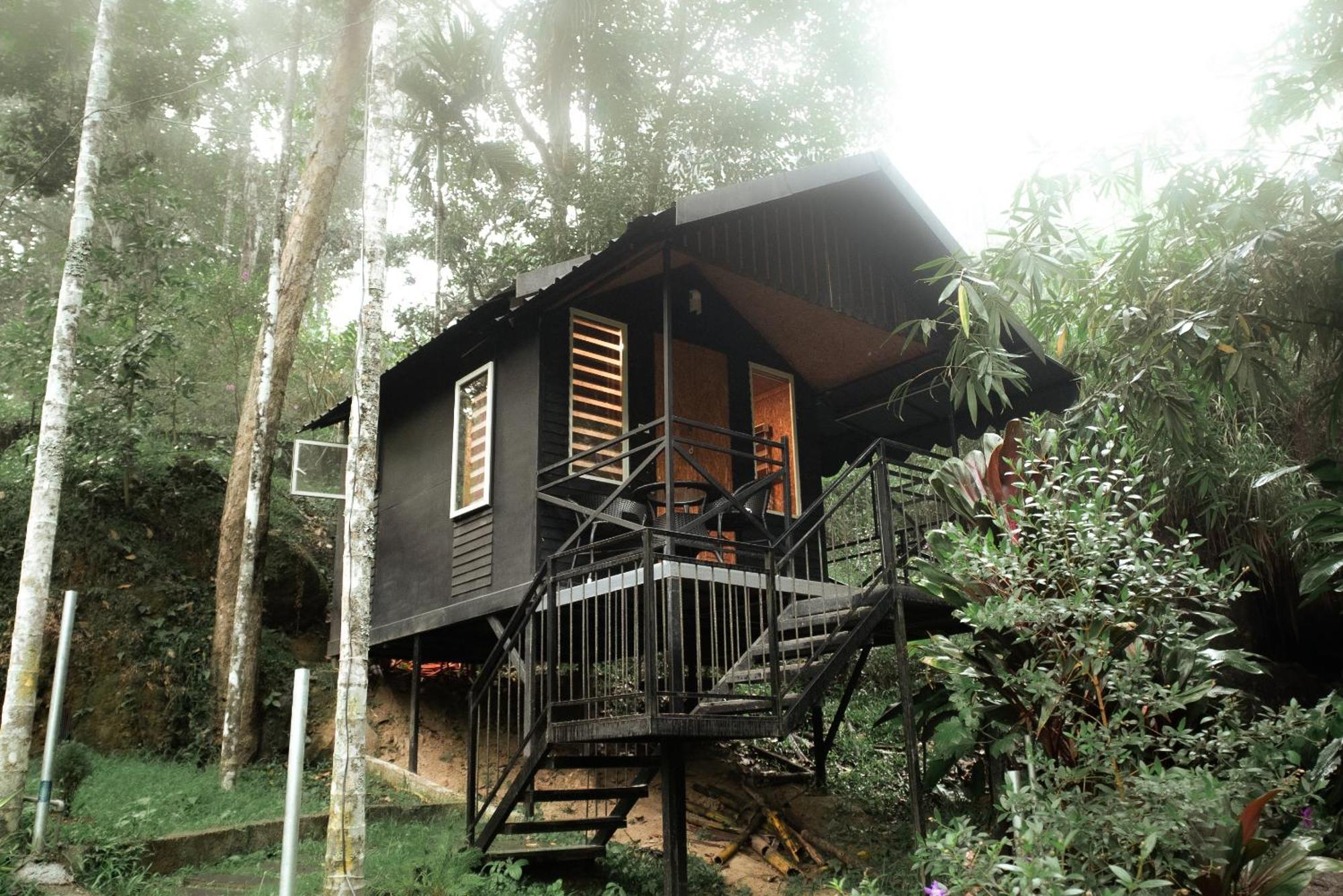 Garden Of Eden-Thottam Munnar-Hiking And Camping Anachal Esterno foto