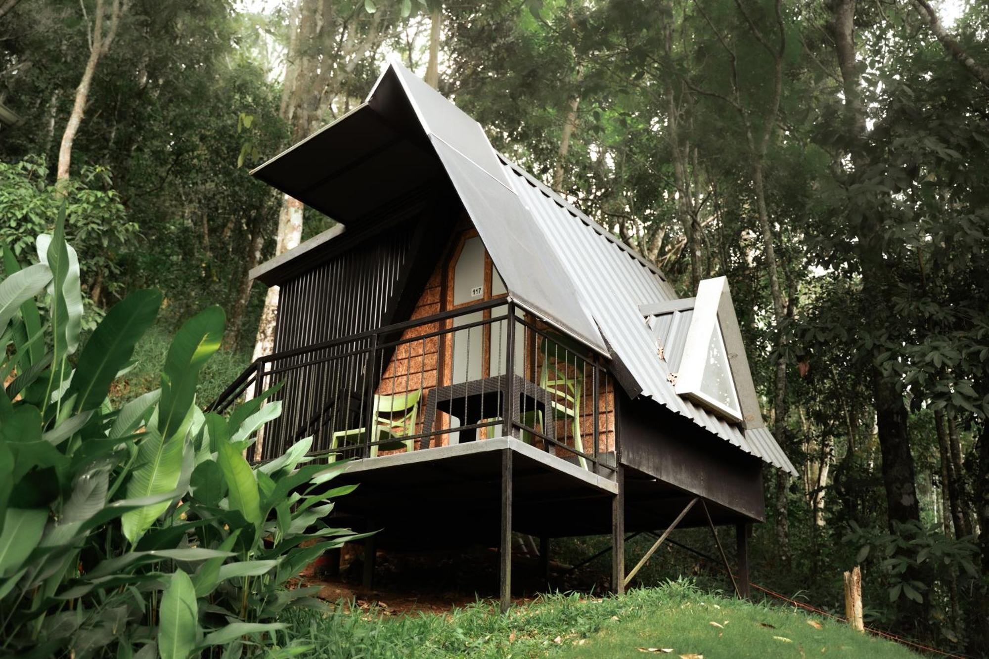 Garden Of Eden-Thottam Munnar-Hiking And Camping Anachal Esterno foto