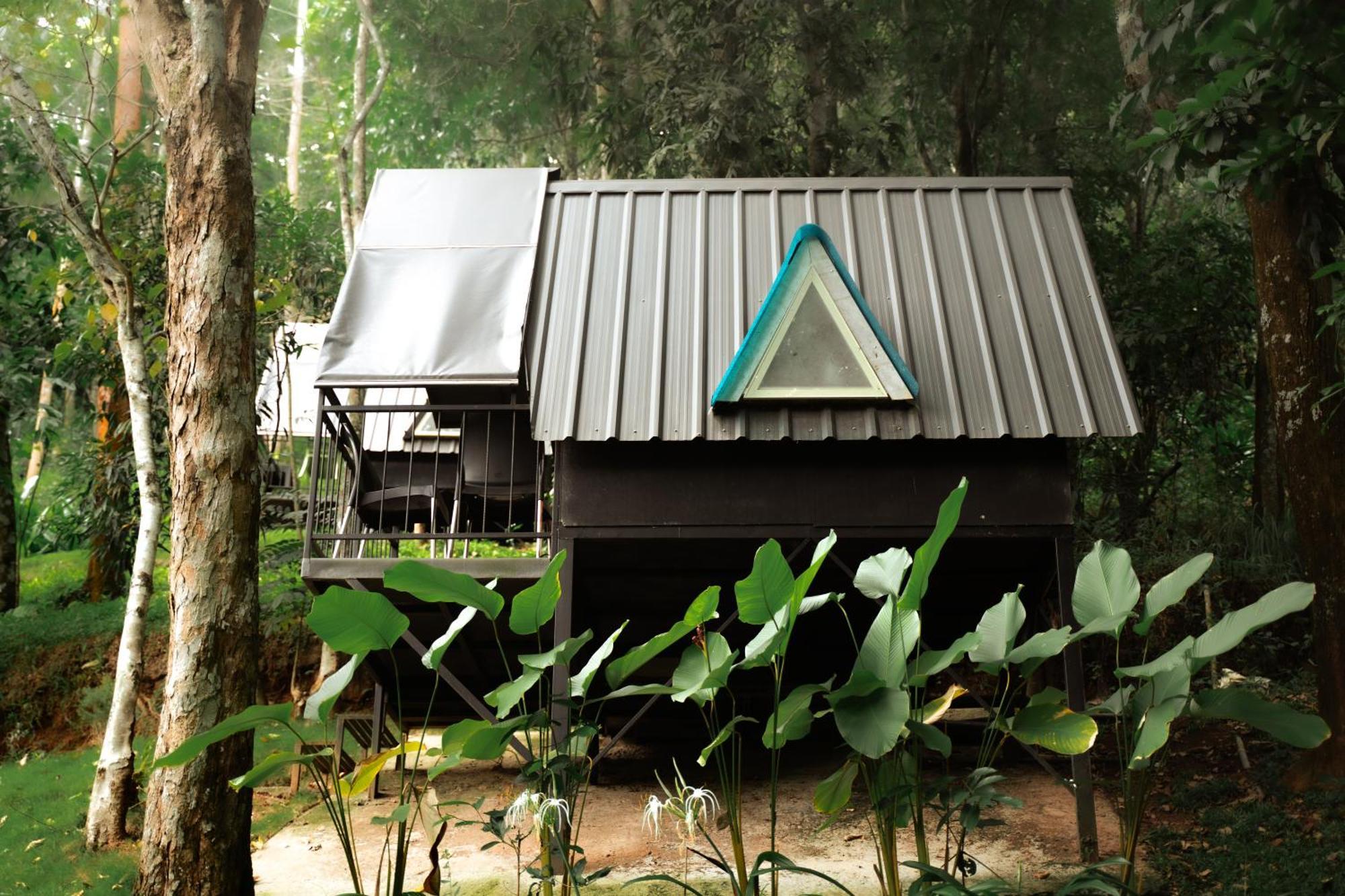 Garden Of Eden-Thottam Munnar-Hiking And Camping Anachal Esterno foto
